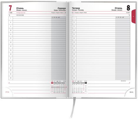 Ежедневник 2017 Стандарт Aluminium, серебряный (73-795 80 ) - №3