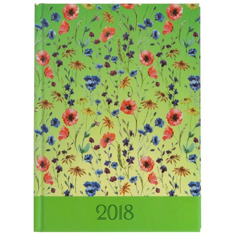 Ежедневник датированный 2019 Buromax PROVENCE, салатовый - №1