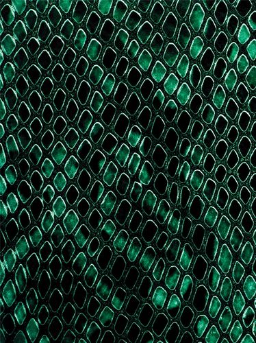 Ежедневник недатированный SNAKE, зеленый - №1