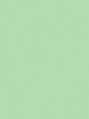 Бумага офисная цветная IQ Pastel MG28 А4, 80 г/м2, 500 листов, зеленая - №2