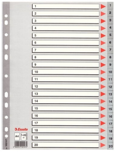 Индекс-разделитель Esselte, А4, 20 разделов, РР, серый - №1