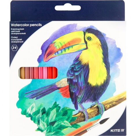 Карандаши цветные акварельные KITE Птицы, 24 цвета - №1