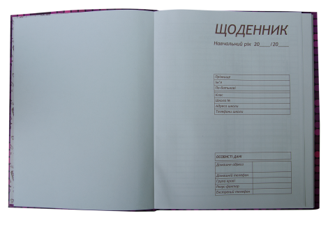 Дневник школьный CAR, A5+, 40 листов, интегральная обложка - №2