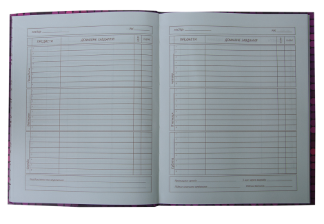 Дневник школьный IMPRINT, A5+, 40 листов, интегральная обложка - №3