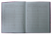 Дневник школьный IMPRINT, A5+, 40 листов, интегральная обложка - №5