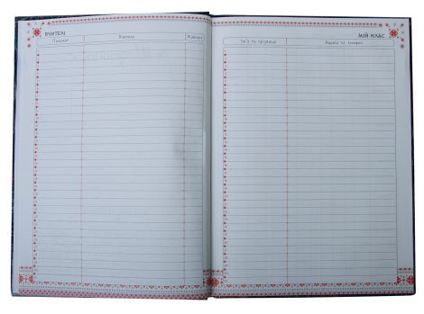Дневник школьный SPRING, В5, 48 листов, твердая обложка-"сэндвич" - №4