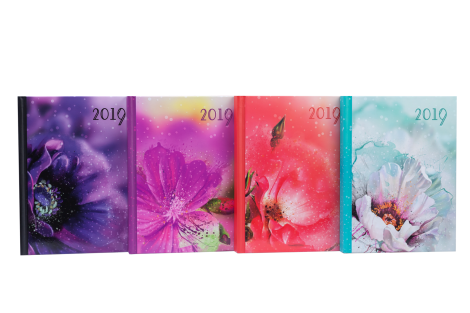 Ежедневник датированный 2019 Buromax Design SPOLETO, коралловый, А5 - №2