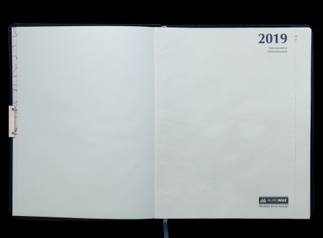 Ежедневник датированный 2019 Buromax Design WILD soft, золотой, А6 - №5