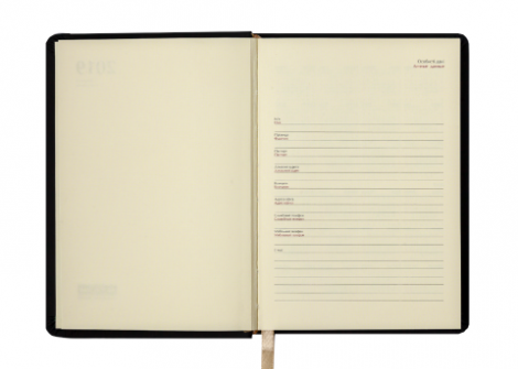 Ежедневник датированный 2019 Buromax Design CHERIE, бирюзовый, А6 - №5