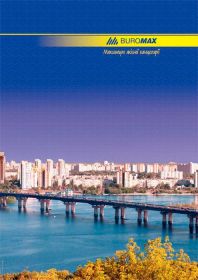 Книга канцелярська, А4, 96 аркушів, лінія, картонна обкладинка