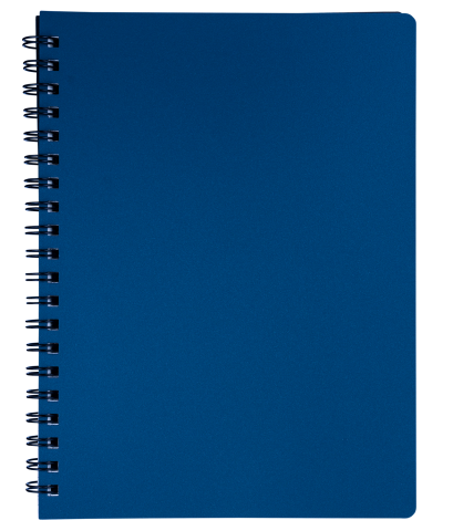 Тетрадь для записей STATUS, L2U, А4, 80 л., клетка, марэнго, пласт.обложка