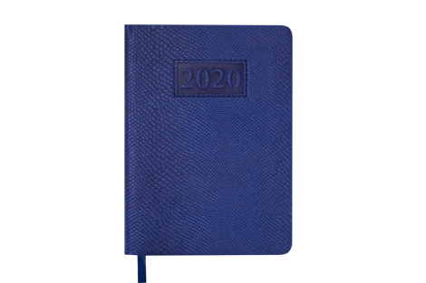 Ежедневник датированный 2020 Buromax AMAZONIA, синий - №1