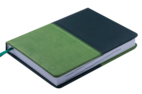 Ежедневник датированный 2020 Buromax QUATTRO, темно-зеленый + светло-зеленый - №2