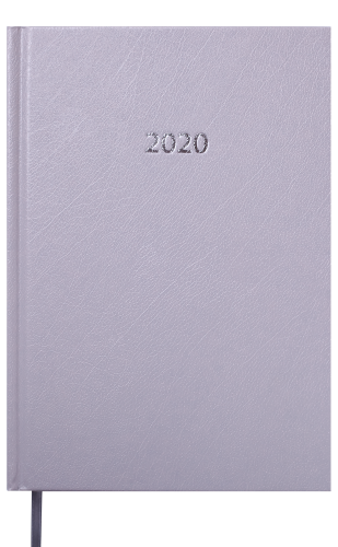 Ежедневник датированный 2020 Buromax STRONG, серый - №2