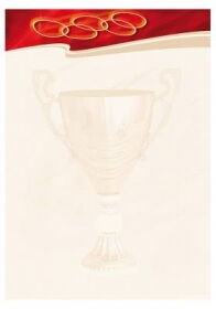 Диплом Galeria Papieru Sport 170 г/м2, 25 шт