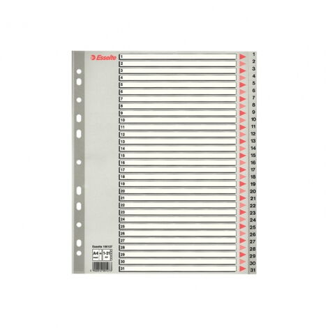 Индекс-разделитель Esselte 1-31 maxi А4, 31 раздел, РР, серый - №1