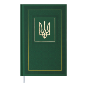 Ежедневник датированный 2022 Buromax NATION, зеленый, А6