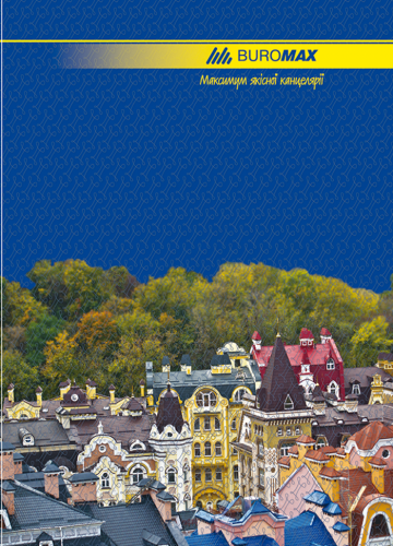 Книга канцелярская, А4, 96 листов, линия, картонная обложка - №1