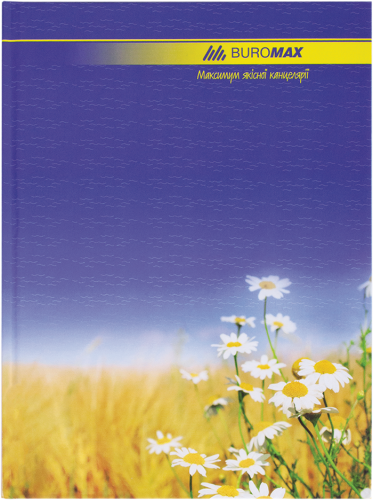 Книга канцелярская, А4, 96 листов, линия, картонная обложка - №2