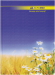 Книга канцелярская, А4, 96 листов, линия, картонная обложка - №2