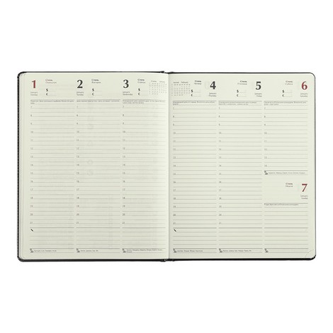 Ежедневник датированный 2024 Buromax SALERNO, красный - №9