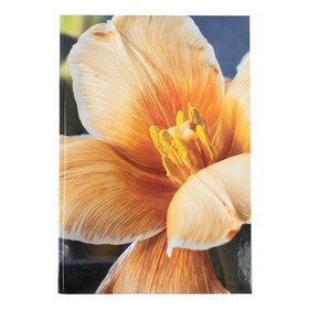 Книга записна А4, 192арк., кліт., Flora, жовта