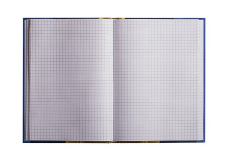 Книга записная Buromax FLORISTICA А5, 96 листов, клетка, салатовая - №2