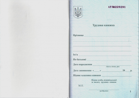 Трудовая книжка - №2