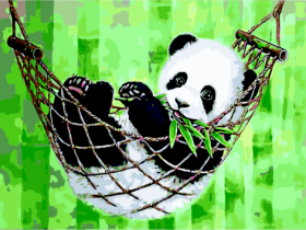 Картина по номерам "Панда в гамаке", 40*50