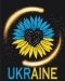 Картина по номерам "Моя Украина-моя вселенная", 40*50 - №1