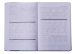 Дневник школьный ZiBi KIDS Line В5, 48 листов, PINK - №9