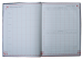 Дневник школьный ZiBi KIDS Line В5, 48 листов, твердая обложка-"сэндвич", CAR - №4