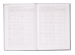 Дневник школьный ZiBi KIDS Line В5, 48 листов, твердая обложка-"сэндвич", DINO SHAPE - №3
