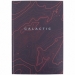 Книга записная А4 Earth colors 96л., клет., Galactic - №1