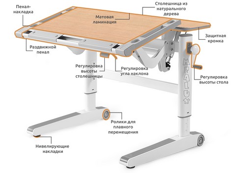 Детский стол Mealux Ergowood L Multicolor W - №2
