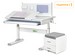 Комплект (S) ErgoKids TH-325 Grey (парта + тумба) - №1
