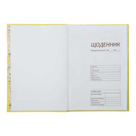 Дневник школьный ZiBi KIDS Line SPACE CAT В5, 40 листов - №3