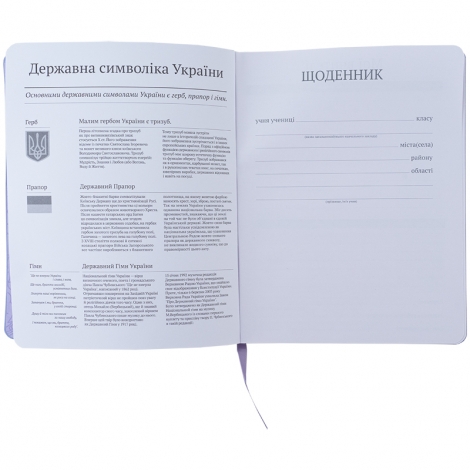 Дневник школьный, мягкая обкл. PU, TK - №3