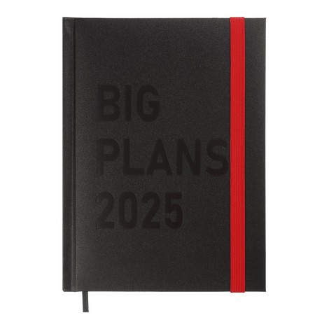 Ежедневник датов. 2025 PLANS, A5, черный, бумвинил/поролон - №1