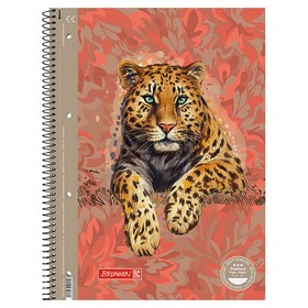 Коледж-блок А4 Premium, лінія, 80 арк. Safari