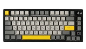 Клавіатура механічна бездротова EPOMAKER TH80 SE Budgerigar V2 Black 