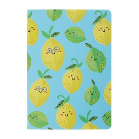 Книга для заметок FRUITS, В5, 32 л., клеточка, прошитая обложка, голубая