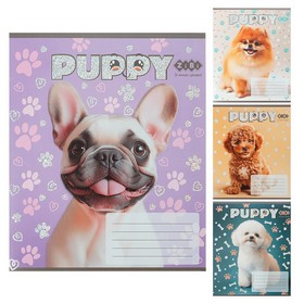 Зошит учнівський шкільний DOGS, 12 арк., коса, KIDS LINE