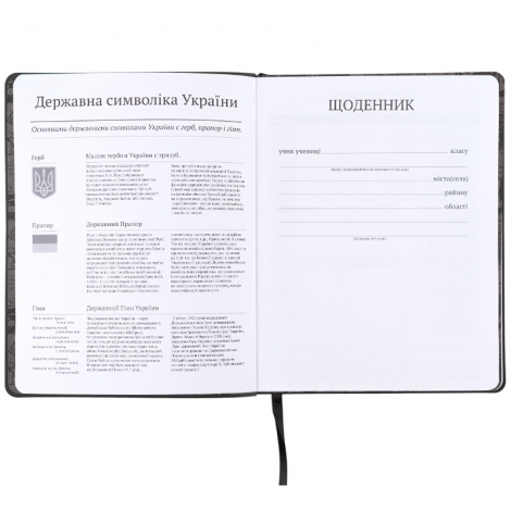 Дневник школьный, мягкая обкл. PU, DC - №4