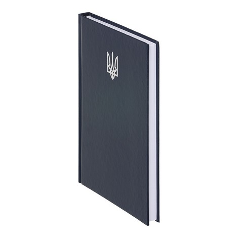 Ежедневник недат. AIRY, A5, синий, бумвинил, 336 стр. - №2