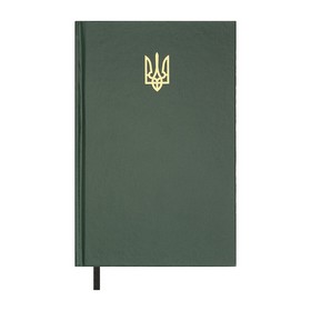 Щоденник недат. AIRY , A5, зелений , бумвініл, 336 стор