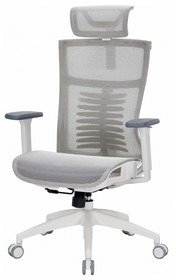Крісло офісне Officepro Balance OC620-W-LG-LG White/Dark Gray