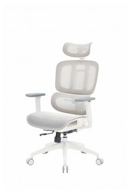 Крісло офісне Officepro Skyline OC680-W-LG-LG White/Light Gray