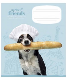 Зошит учнівський, 12арк., у клітинку, ВД-лак, Школярик, Perfect friends